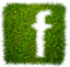 fff