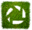 pppp