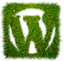 wwwww